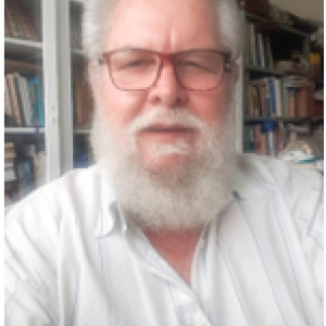 Afonso Peche Filho – Instituto Agronômico de Campinas – IAC - SP