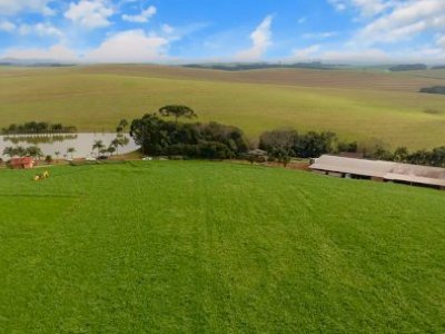II Encontro Catarinense de Agricultura Regenerativa promove modelo sustentvel e rentvel para o campo