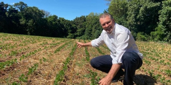Senado aprova Dia Nacional do Plantio Direto