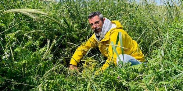 SPD em SC: distância dos fundamentos do sistema é distanciamento de uma agricultura mais sustentável