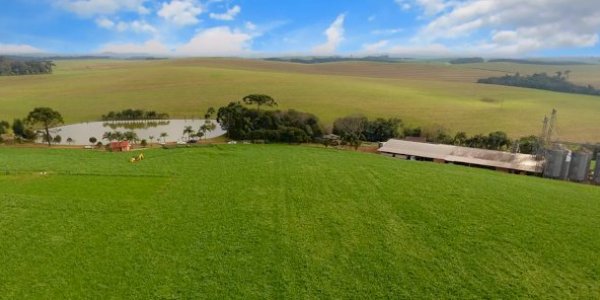 II Encontro Catarinense de Agricultura Regenerativa promove modelo sustentável e rentável para o campo