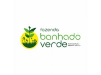 Banhado Verde