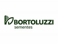 Bortoluzzi