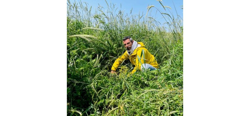 SPD em SC: distância dos fundamentos do sistema é distanciamento de uma agricultura mais sustentável