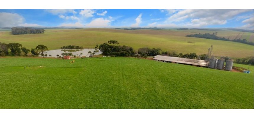 II Encontro Catarinense de Agricultura Regenerativa promove modelo sustentável e rentável para o campo
